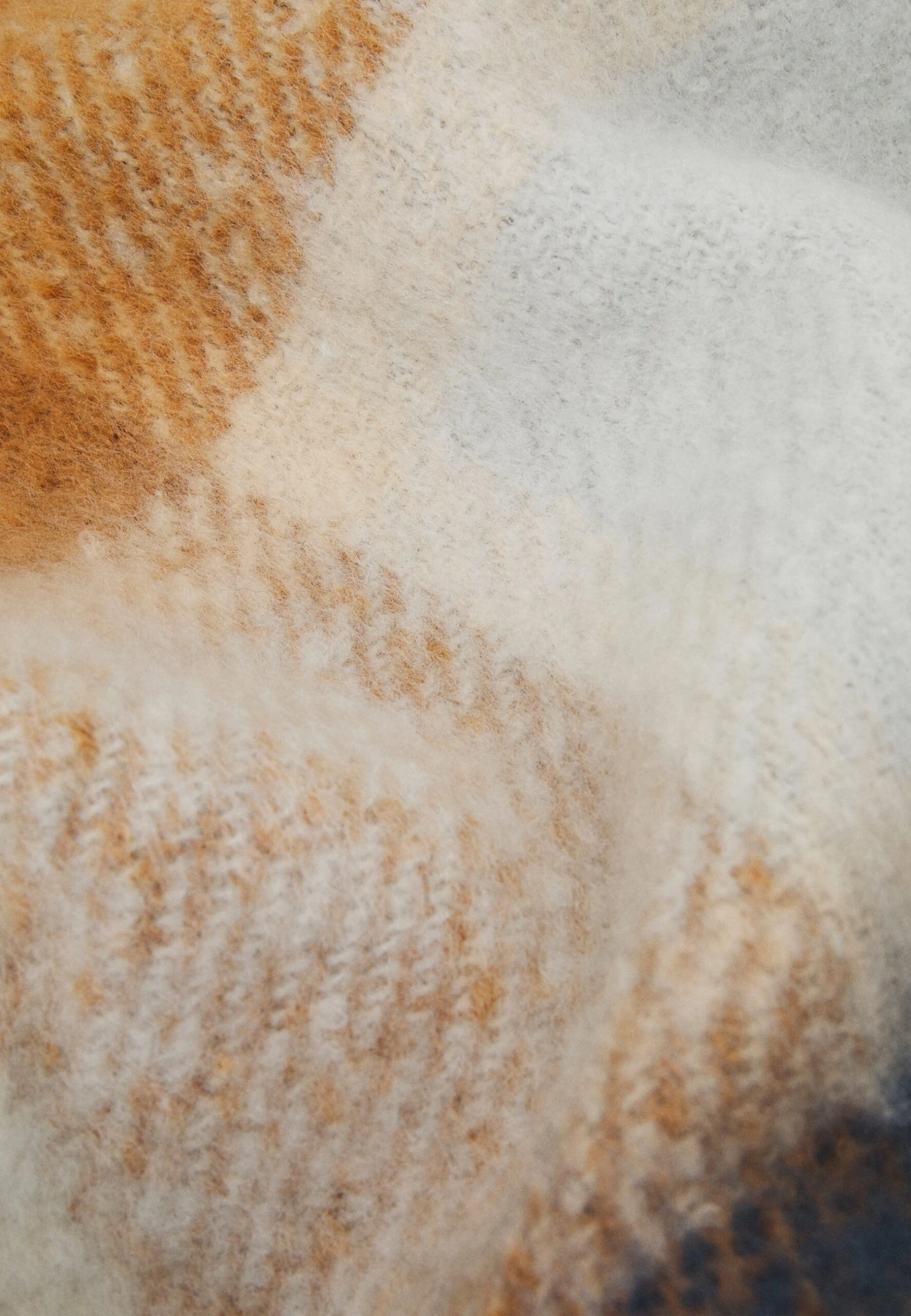 Anna Field Sciarpa - Brown/White/Blue 4 Anna Field Sciarpa - Brown/White/Blue - immagine 2